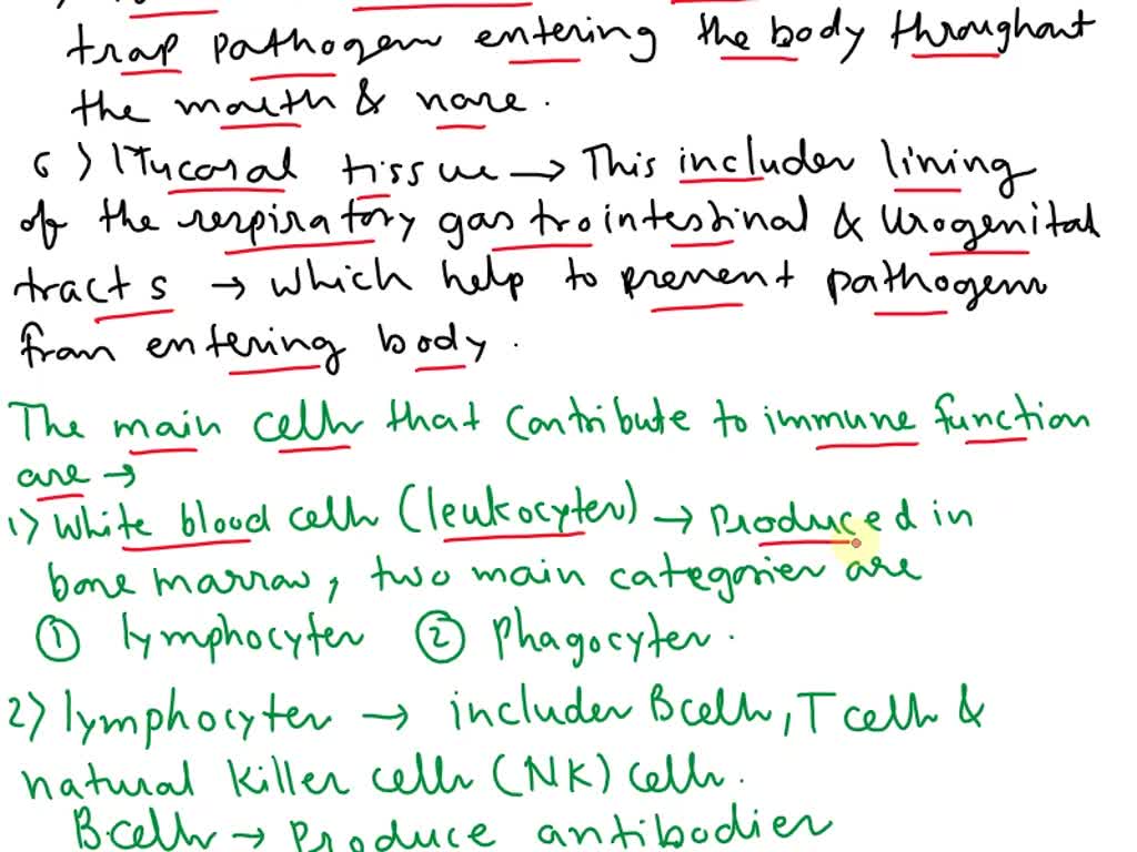 solved-what-organs-make-up-the-immune-system-and-what-cells