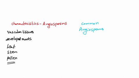 which-of-the-following-structures-are-only-found-in-angiosperms-and-gymnosperms-vascular-tissue-developed-roots-leaves-seeds-pollen-28373