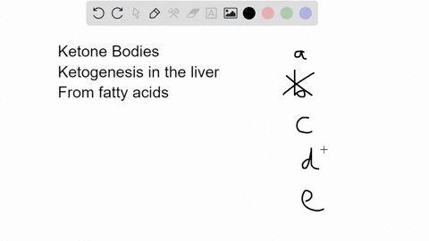 ketone-bodies-are-produced-in-the-liver-when-blood-glucose-is-high-in-healthy-people-are-produced-in-skeletal-muscle-when-gluconeogenesis-is-occurring-in-the-liver-can-be-converted-to-acetyl-77488