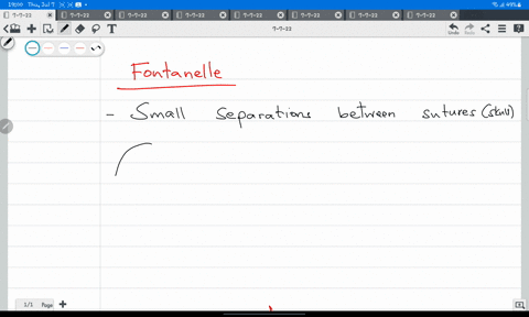 a-fontanelle-________a-is-the-cartilage-model-for-a-vertebra-that-later-is-converted-into-boneb-gives-rise-to-the-facial-bones-and-vertebraec-is-the-rod-like-structure-that-runs-the-length-o-96892