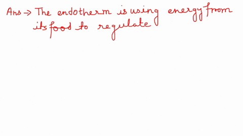 where-do-hydrogen-atoms-removed-trom-the-glucose-molecule-end-up-in-the-aerobic-cellular-respiration-processa-the-are-in-dynamic-equilibriumb-they-form-pyrvic-acidc-they-reduce-the-oxygen-mo-00563