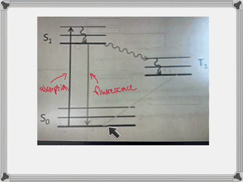 4-label-an-many-of-the-tramultons-in-the-lablonuli-digram-below-as-yow-can-label-then-actording-to-whether-they-involve-the-aboorption-or-emi-wulon-of-a-photon-of-conerylon-to-hat-label-the-abiorption