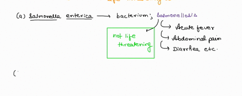 what-member-of-the-human-intestinal-microbiota-occasionally-causes-life-threatening-disease-a-salmonella-enterica-b-escherichia-coli-o157h7-c-lactobacillus-d-clostridium-difficile-13787