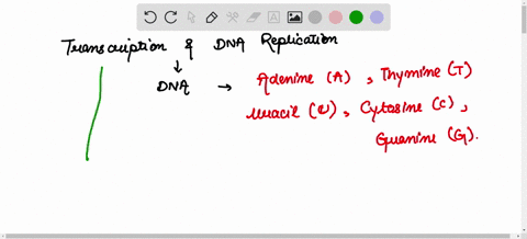 11-fill-in-the-blanks-to-describe-the-similarities-between-transcription-and-dna-replication-both-transcription-and-dna-replication-produce-nucleic-acids-which-are-polymers-of-c-g-a-and-t-or-89642