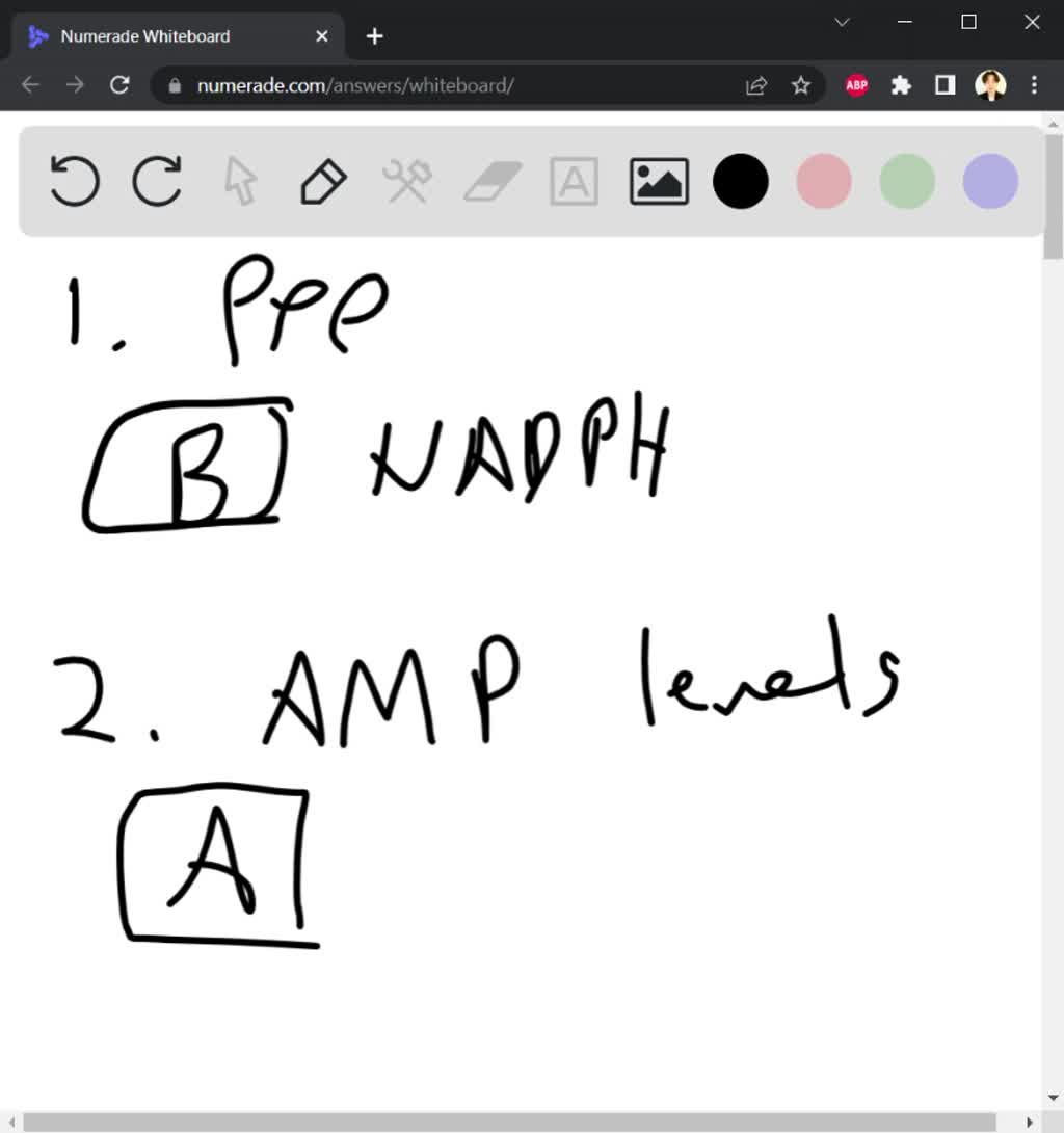 solved-20-what-is-the-primary-difference-bctxeen-acrobic-respirations