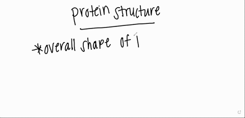 which-level-of-organization-of-protein-molecules-is-the-overall-shape-of-the-polypeptide-chains-94903