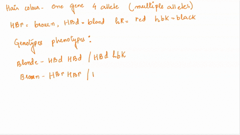 qi_-use-the-diagram-to-answer-each-question-3-marks-another-type-of-non-mendelian-trait-multiple-alleles-human-hair-color-is-controlled-by-one-gene-with-four-alleles-with-some-incomplete-dom-56151