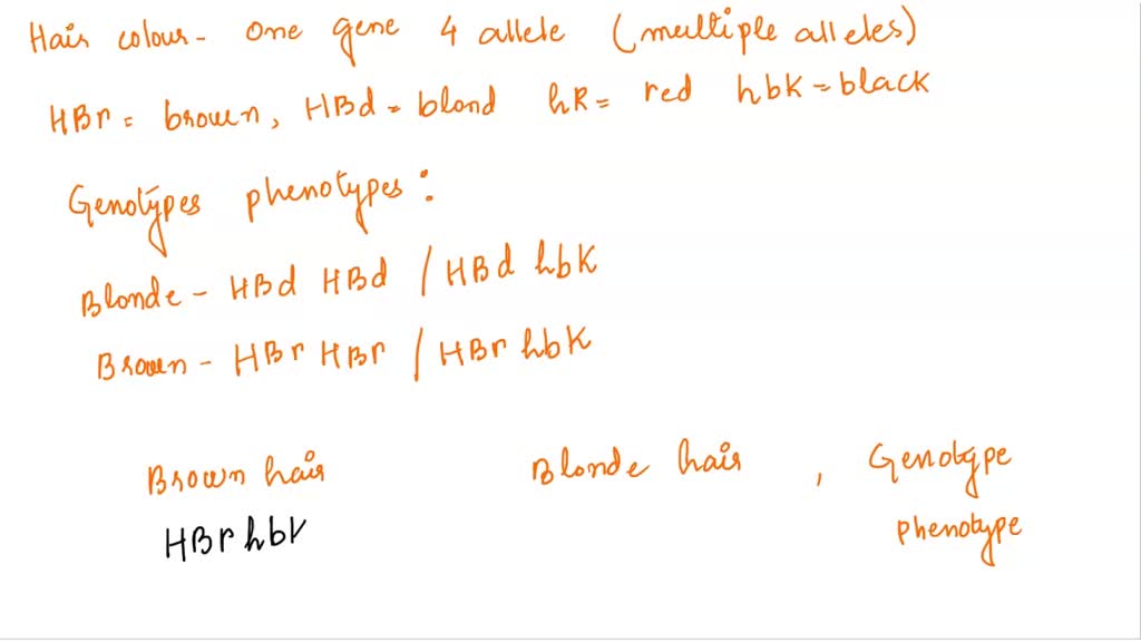 SOLVED Use the diagram to answer each question (3 MARKS) Another type