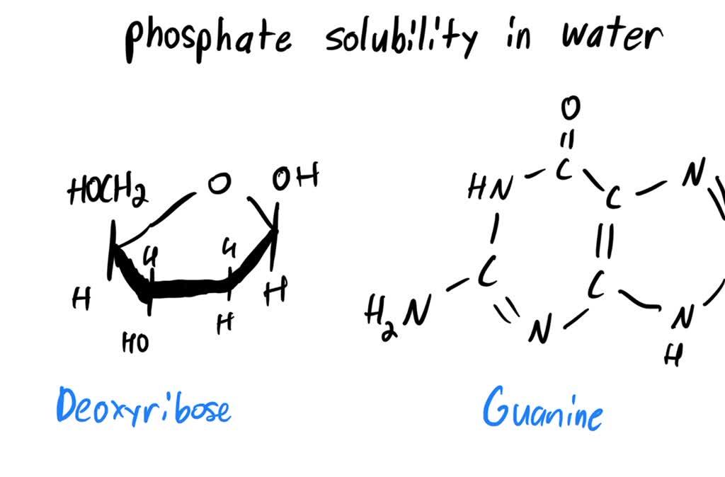 SOLVED Draw the following structures and rate their relative