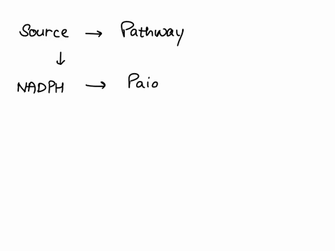 the-main-function-of-pentose-phosphate-pathway-islare-point-supply-pentoses-and-nadph-provide-nadh-provide-energy-all-are-correct-23264