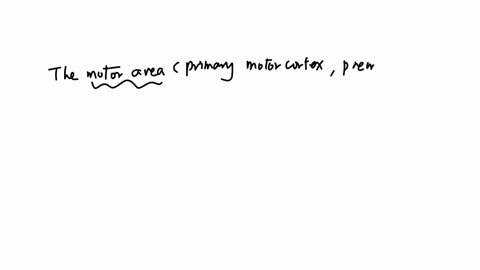 15-multiple-choice-2-poients-the-motor-areas-of-the-cerebral-cortex-are-all-located-in-thelobe-temporal-frontal-occipital-parietal-insula