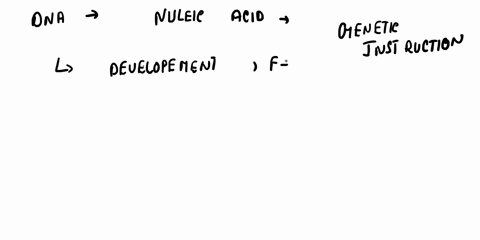 which-of-the-following-contains-the-genetic-code-carbohydrates-lipids-nucleic-acids-or-proteins-31662