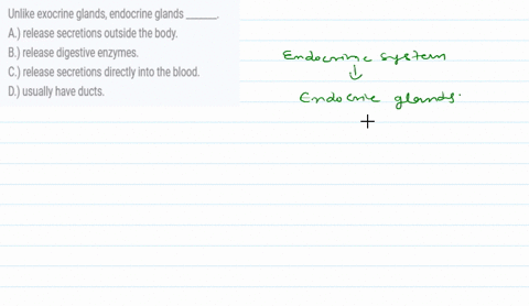 unlike-exocrine-glands-endocrine-glands-_______-a-release-secretions-outside-the-body-b-release-digestive-enzymes-c-release-secretions-directly-into-the-blood-d-usually-have-ducts-68584