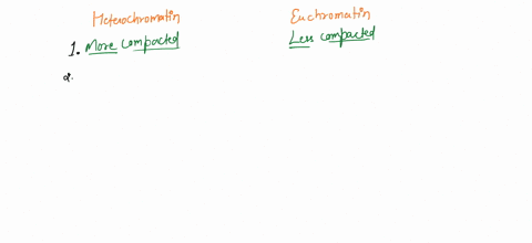 place-each-characteristic-in-the-correct-category-attached-to-nuclear-lamina-heterochromatin-euchromatin-more-compacted-less-compacted-inhibits-gene-expression-central-position-in-the-nucleu-79761