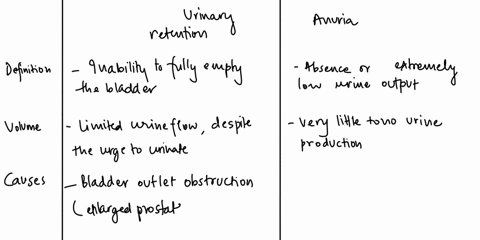 15-differentiate-the-causes-of-urinary-retention-and-anuria-28176