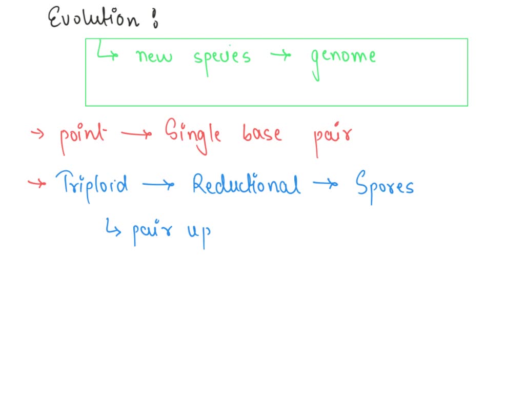 SOLVED 29 Here is phylogeny of embryophytes with charophytes as an