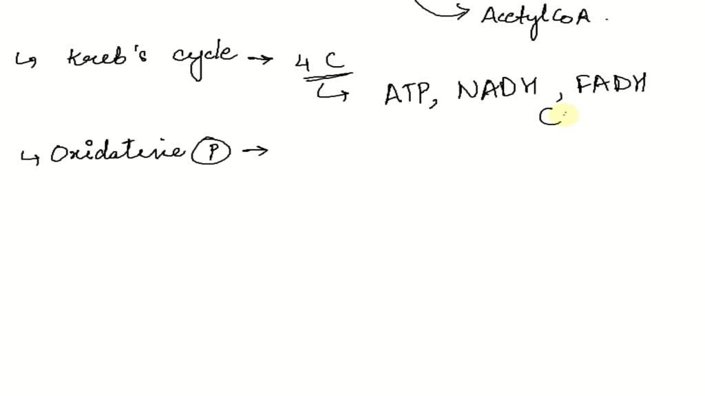 SOLVED: 1. What is the overall reaction for cellular respiration? 2