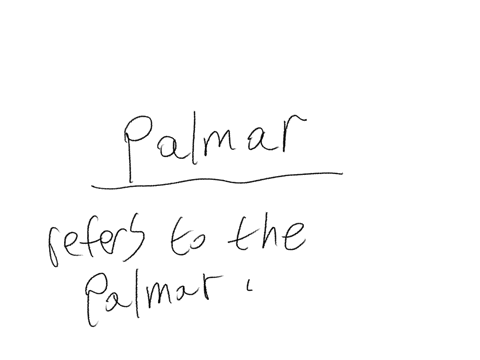a-baby-grasps-anything-placed-in-its-hand-this-is-called-the-qquad-reflex-rooting-sucking-palmar-blink