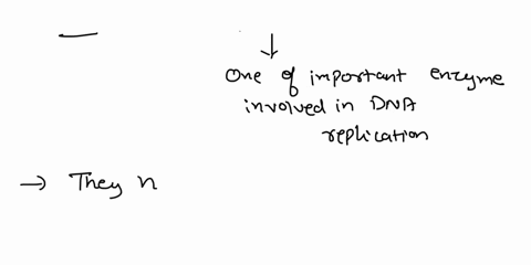 which-of-the-following-processes-will-be-affected-by-a-toxin-that-blocks-the-activity-of-the-topoisomerase-enzymes-in-a-cell-a-functioning-of-the-promoters-bsynthesis-of-proteins-by-the-ribo-18412