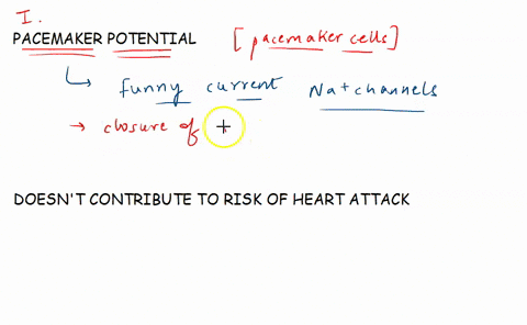 dulcourses2004850quizzes5417143-question-39-1pts-the-pacemaker-potential-of-pacemaker-cells-is-produced-by-the-opening-of-at-the-end-ofan-action-potential-slow-na-channels-k-channels-slow-ca-92809