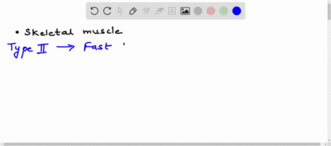 which-type-of-skeletal-muscle-fibers-would-you-expect-a-sprinter-to-have-a-marathoner-why-91968