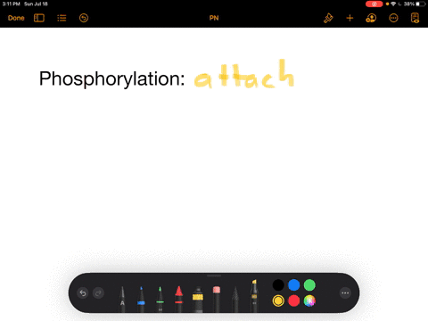 what-is-phosphorylation-as-it-occurs-in-chemical-reactions-a-phosphorylation-refers-to-the-attachment-of-a-phosphate-to-another-molecule-to-facilitate-a-chemical-reaction-b-phosphorylation-is-the-up-2