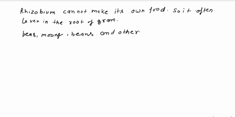 rhizobium-in-roots-of-leguminous-plant-is-an-example-of-symbiotic-relationship-because-rhizobium-can-make-their-own-foodrhizobium-provides-nitrogen-to-the-plants-and-plants-provide-food-and-86446