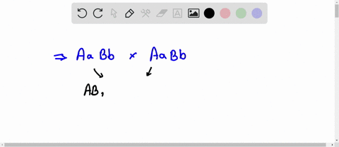 1-create-a-punnett-square-to-calculate-the-possible-genotypes-that-can-result-from-a-cross-between-the-two-parent-plants-in-a-dihybrid-cross-the-alleles-of-the-gametes-of-each-parent-are-wri-78644