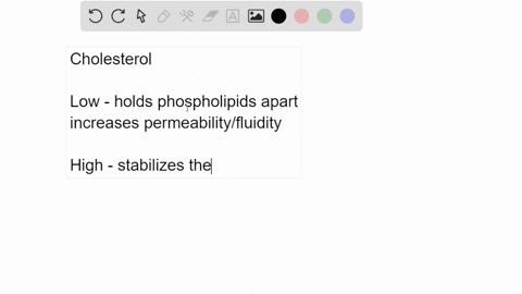 which-of-the-following-is-true-regarding-how-cholesterol-affects-the-fluidity-and-permeability-of-biological-membranes-at-low-temperatures-cholesterol-causes-phospholipids-to-pack-more-tight-14451