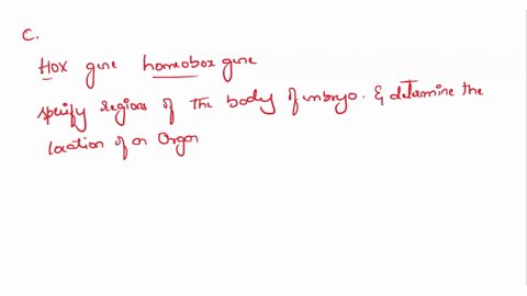 which-of-the-following-is-not-true-regarding-hox-genes-a-the-sequence-they-appear-in-their-corresponding-chromosomes-is-the-same-order-of-their-expression-along-the-front-to-back-of-the-deve-74485