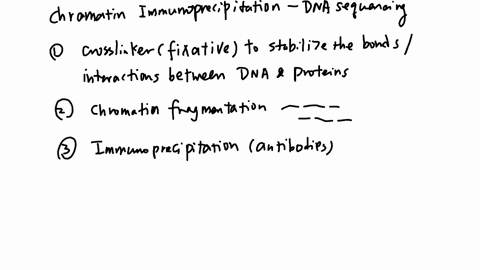 simple-chip-seq-technology-decipher-all-these-but-not-_________-where-the-protein-x-binds-dna-relative-to-a-gene-promoter-if-the-protein-x-binds-dna-alone-or-with-other-partners-if-the-protein-x-binds