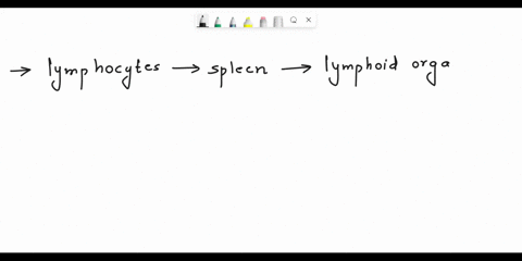 question-62-2pts-all-lymphocytes-originate-in-the-spleen-and-migrate-to-other-lymphoid-organs-for-maturation-false-true-57682
