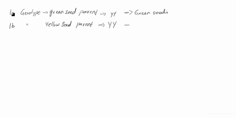 questions-please-answer-the-following-questions-in-your-lab-notebooks-in-addition-to-those-mentioned-above-grdener-has-wo-strains-of-pcas-nc-always-produces-yellow-scedsand-the-other-always-48051