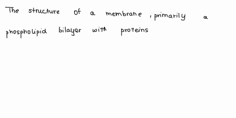 how-does-structure-and-function-relate-to-a-membrane-23017