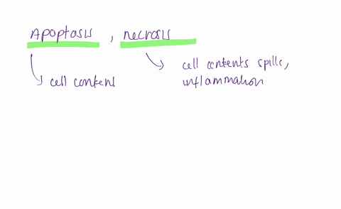 which-of-the-following-statements-describes-a-key-difference-between-apoptosis-and-necrosis-check-all-that-apply-group-of-answer-choices-in-necrosis-the-cell-contents-tend-to-spill-out-and-c-61726