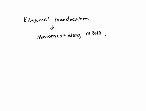 which-of-the-following-occurs-as-a-result-of-ribosomal-translocation-a-the-trna-that-was-in-the-a-site-moves-into-the-e-site-b-the-trna-that-was-in-the-p-site-stays-in-the-p-site-while-all-o-78145