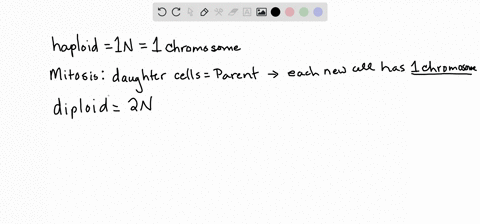 1-mitosis-for-a-haploid-cell-with-just-one-chromosomewhen-cell-division-is-complete-there-should-be-_____-chromosome-in-each-of-the-two-daughter-cells2-mitosis-for-a-diploid-cell-with-two-co-77014