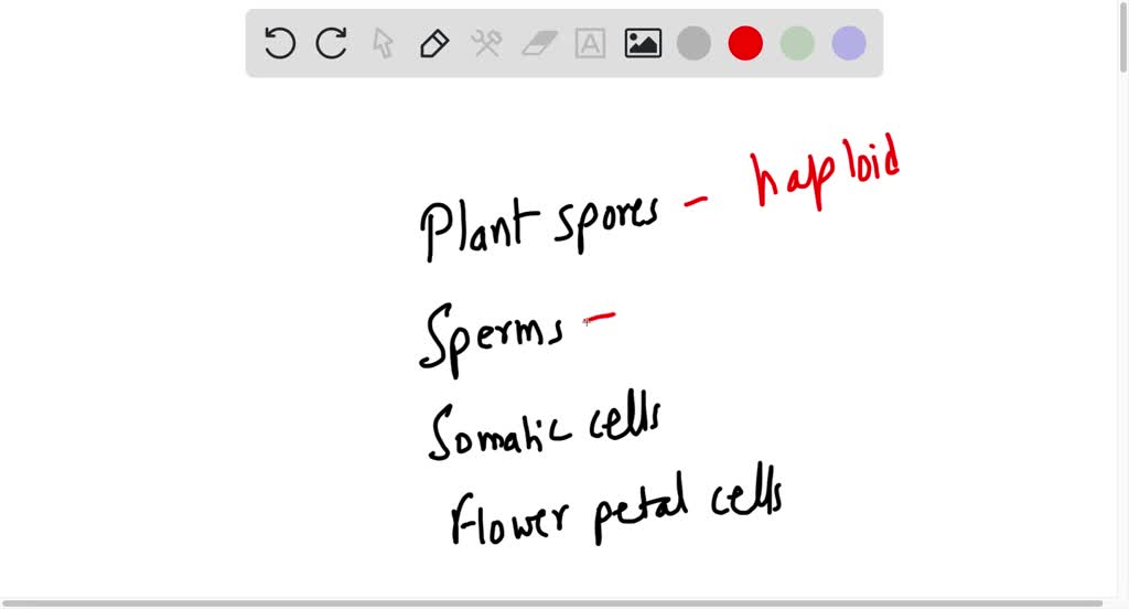 SOLVED Indicate the ploidy (haploid or diploid) of each of the following cells Plant spores