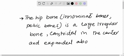 write-a-short-note-on-the-hip-bone-55417