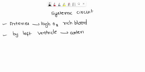 question2-1pts-which-of-these-statements-is-true-regarding-the-systemic-circuit-of-the-circulatory-system-exchange-between-the-blood-and-tissues-occurs-at-systemic-veins-perssure-within-syst-03534