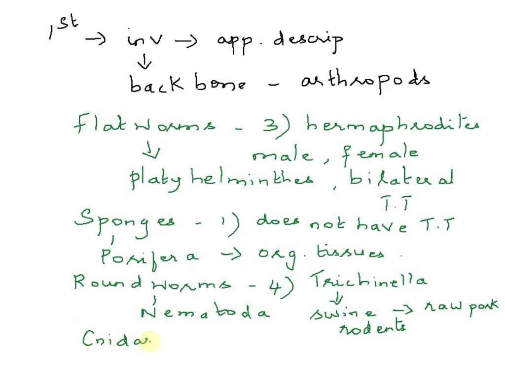 SOLVED Question (5 points) Match the invertebrate group with its