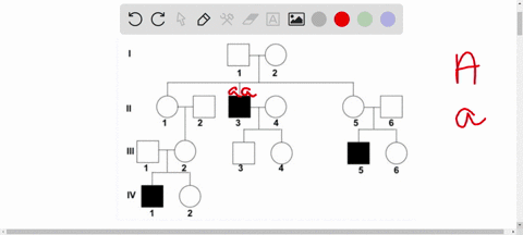 the-pedigree-shown-here-the-solid-symbols-represent-individuals-affected-with-a-rare-type-of-osteoarthritis-while-the-open-symbols-indicate-individuals-who-are-phenotypically-normal-use-symb-85926