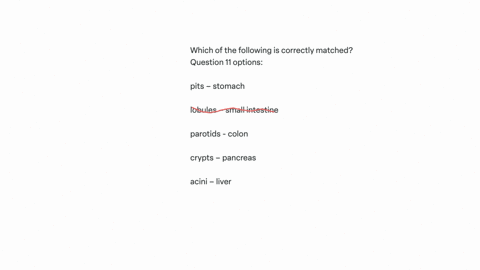 which-of-the-following-is-correctly-matched-question-11-options-pits-stomach-lobules-small-intestine-parotids-colon-crypts-pancreas-acini-liver