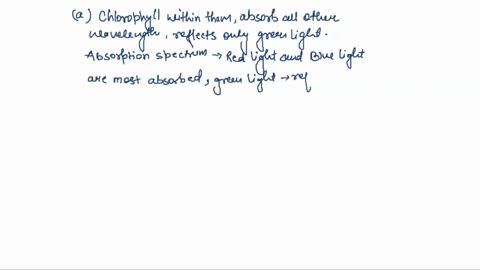 sunlight-contains-all-the-colors-of-the-visible-spectrum-red-orange-yellow-etc-and-pigments-absorb-certain-colors-of-light-in-order-to-power-photosynthesis_-briefly-explain-what-color-of-lig-79907