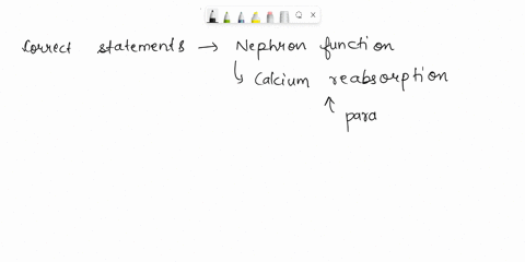 question-20-1pts-select-all-that-applywhich-of-the-following-statements-regarding-nephron-function-are-true-the-majority-of-obligatory-water-reabsorption-occurs-in-the-loop-of-henle-calcium-93652