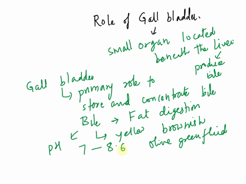 which-is-the-role-of-the-gall-blabber-18044