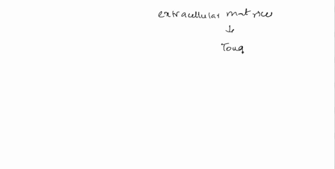 in-what-ways-are-the-extracellular-matrices-of-animals-and-the-cell-walls-of-plants-similar-in-const-66757