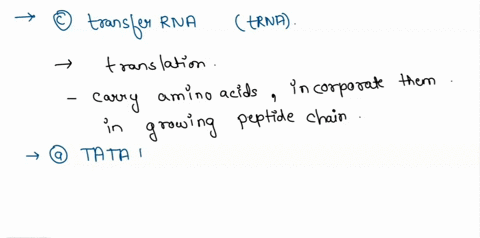 question-5-which-of-the-following-components-does-not-form-part-of-the-transcription-initiation-complex-at-a-eukaryotic-promoter-a-tata-box-b-start-point-c-transfer-rna-d-transcription-facto-04608