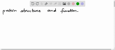 explain-the-general-relationship-between-protein-structure-and-function-and-how-a-mutation-can-give-rise-to-protein-structure-36415