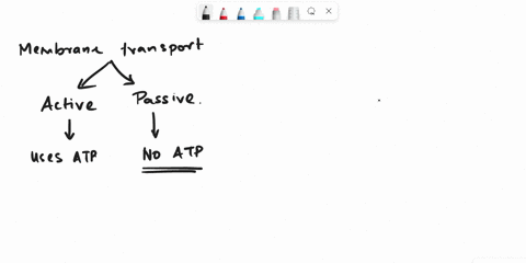 passive-membrane-transport-processes-include-________-a-movement-of-water-from-an-area-of-high-solute-concentration-to-an-area-of-low-concentration-b-the-use-of-transport-proteins-when-movin-14461